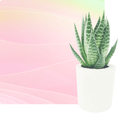 Дизайн на любой бюджет