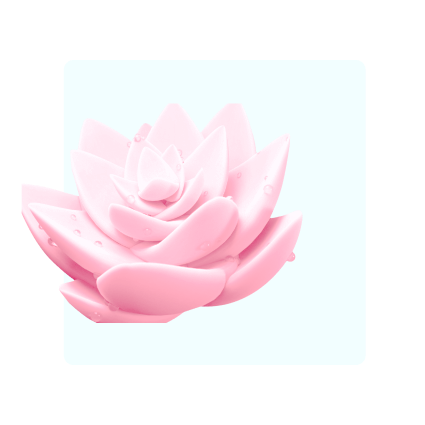 Галерея фото