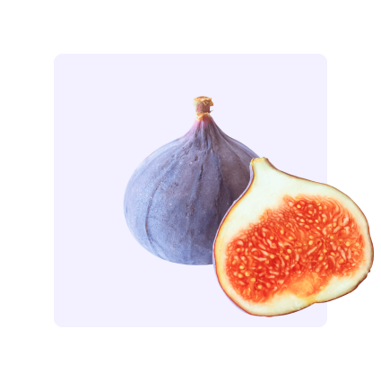 Sammlung kostenloser Stockbilder