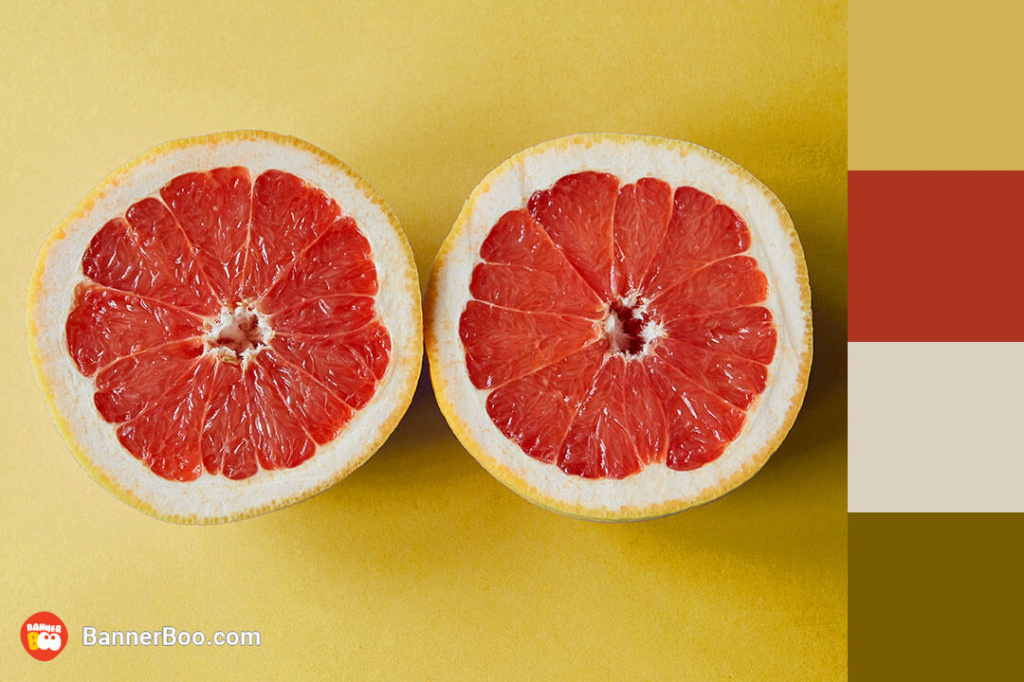 citrus punch citrus punch