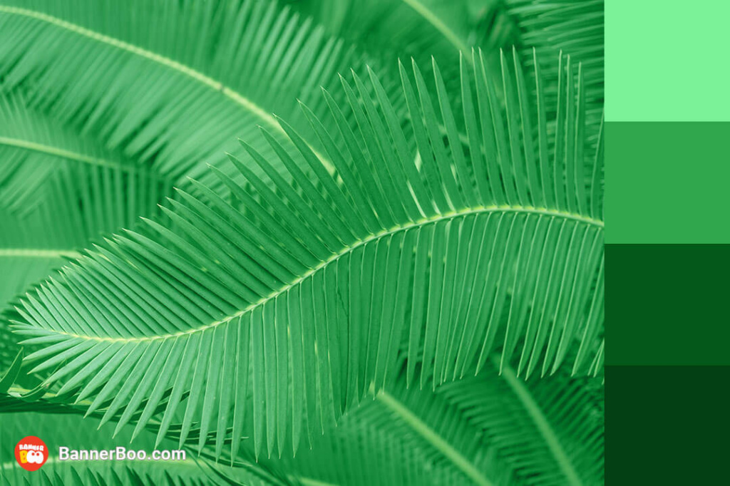 emerald garden emerald garden