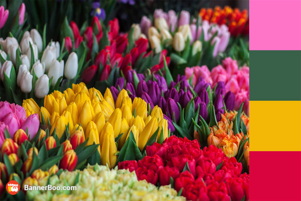 floral and cheerful floral and cheerful