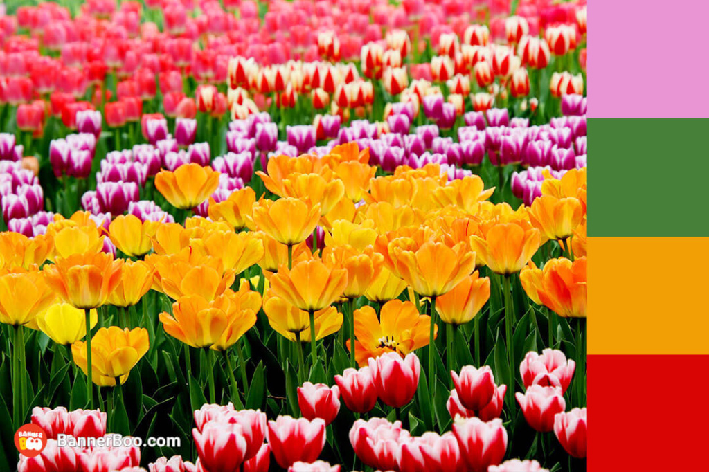 spring outing spring outing