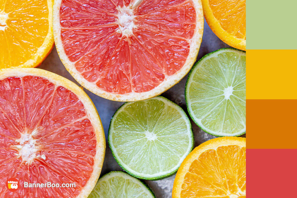 fresh citrus fruits fresh citrus fruits