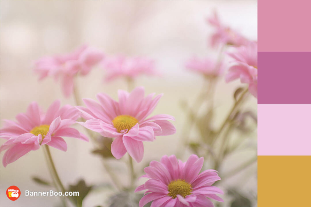 сolorful flowering сolorful flowering