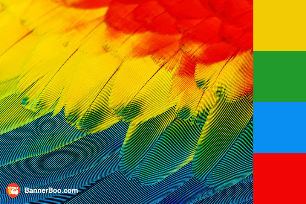 macaw feathers macaw feathers