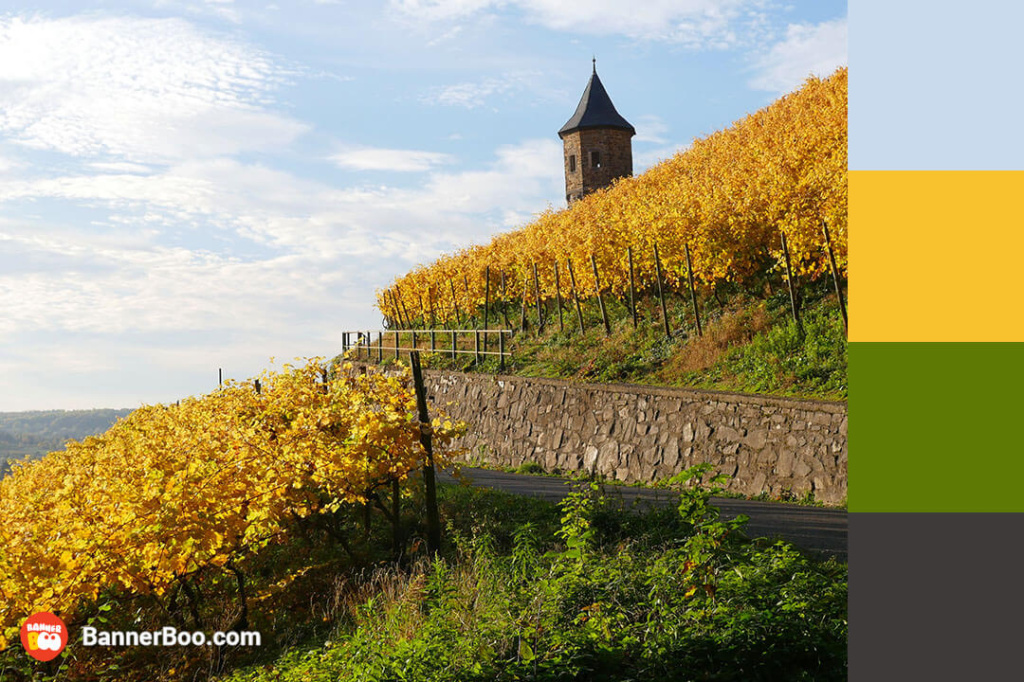 tuscan vineyard tuscan vineyard
