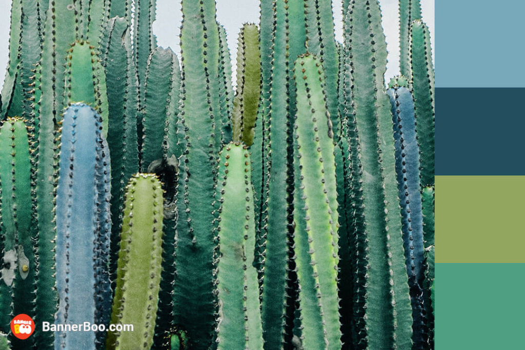 diversity of the desert diversity of the desert